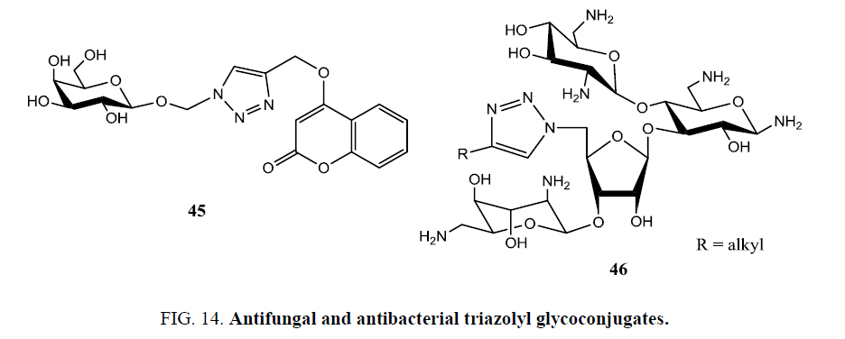 organic-chemistry-Antifungal-antibacterial-triazolyl-glycoconjugates