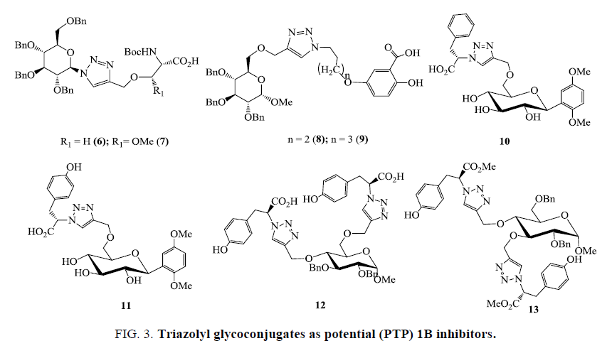 organic-chemistry-Triazolyl-glycoconjugates-potential
