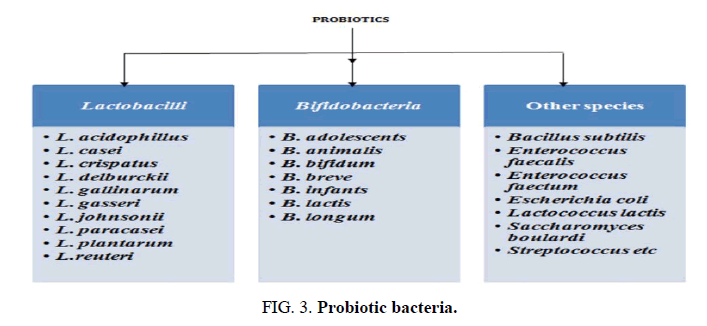 Biotechnology-Probiotic