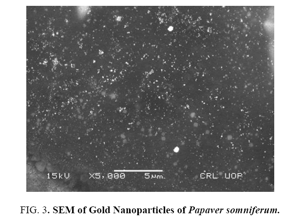 Nano-Science-Nano-Technology-Gold-Nanoparticles