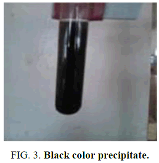 biotechnology-Black-color-precipitate
