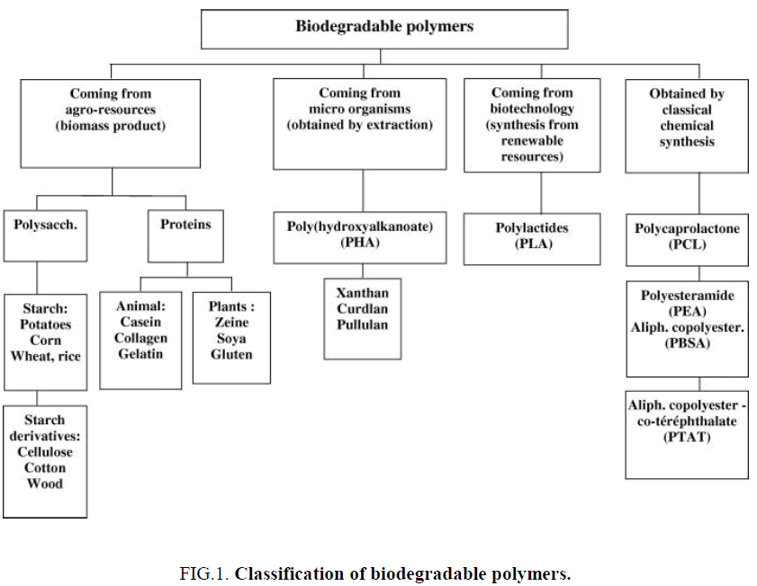 biotechnology-Classification-biodegradable-polymers