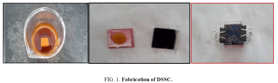 biotechnology-Fabrication-DSSC