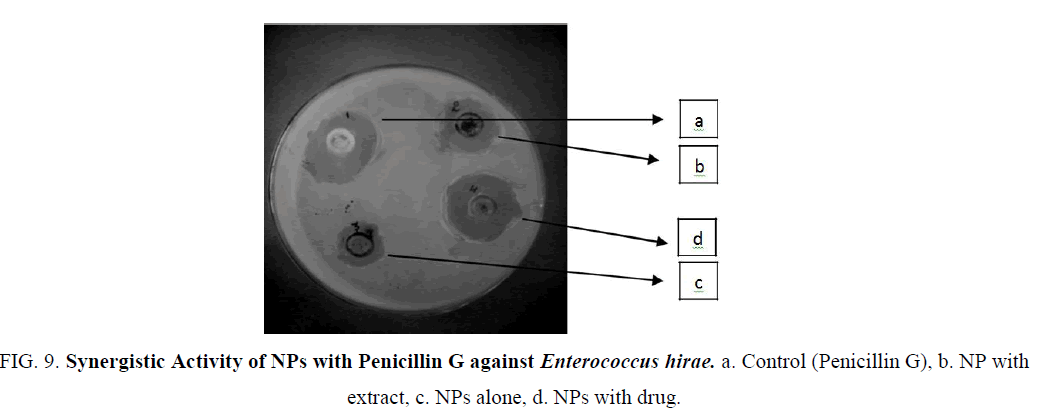biotechnology-Synergistic-Penicillin-Control