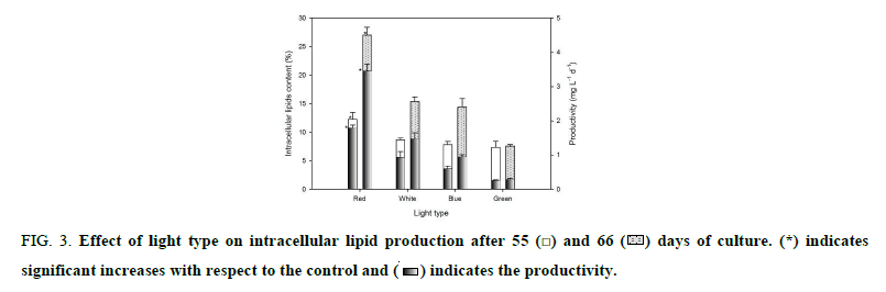 biotechnology-lipid-production