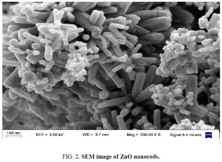 chemical-technology-SEM-image-nanorodsgydF4y2Ba