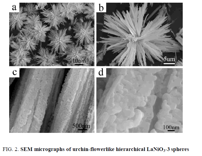 chemical-technology-SEM-micrographs-urchin-flowerlikegydF4y2Ba