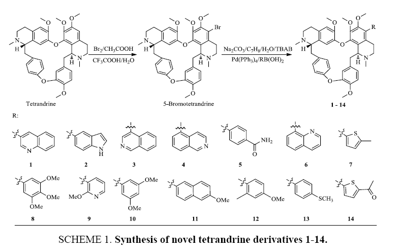chemxpress-novel-tetrandrine