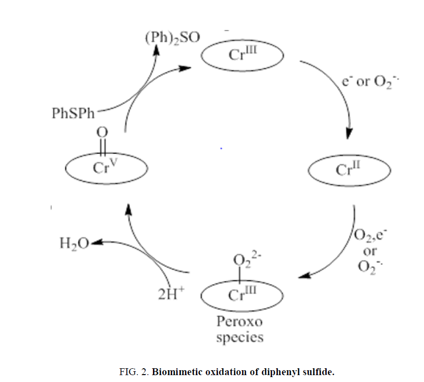 electrochemistry-Biomimetic-oxidation