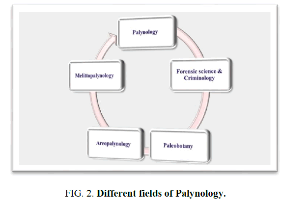 environmental-science-palynology