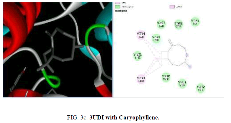 international-journal-chemical-sciences-Caryophyllene