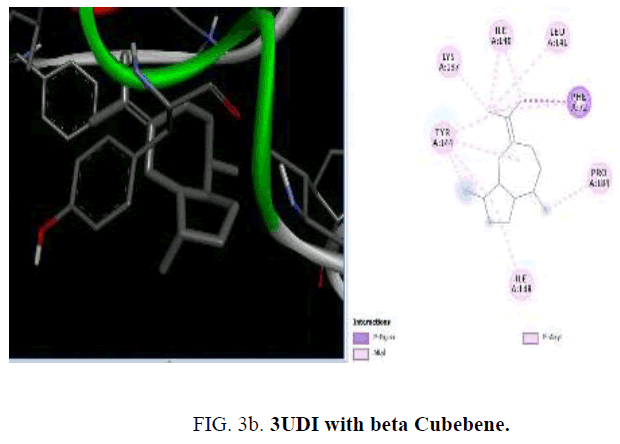 international-journal-chemical-sciences-beta-Cubebene