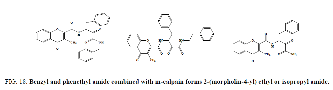 international-journal-chemical-sciences-calpain-forms