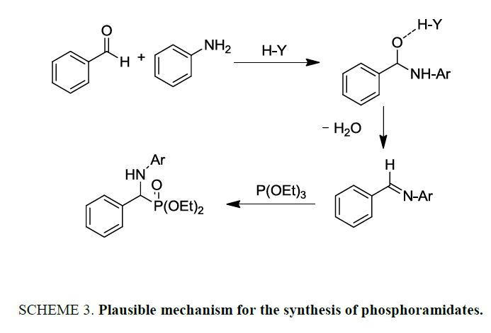international-journal-chemical-sciences-synthesis-phosphoramidates