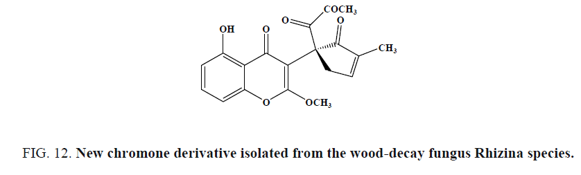 international-journal-chemical-sciences-wood-decay-fungus
