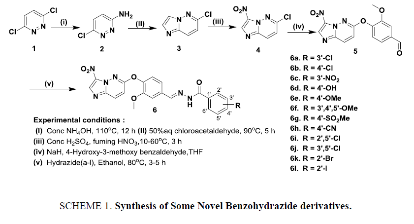 international-journal-of-chemical-sciences-benzohydrazide