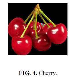 nano-science-nano-technology-Cherry