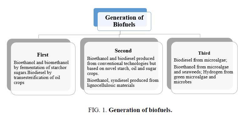 research-reviews-biosciences-Generation-biofuels