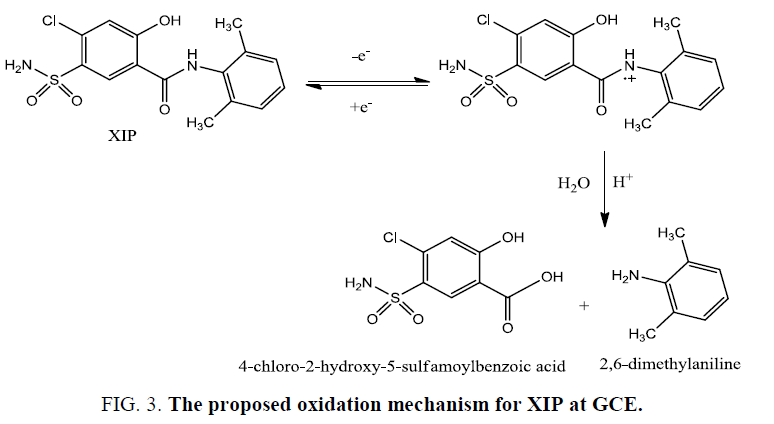 research-reviews-electrochemistry-oxidation-mechanism-XIP-GCE