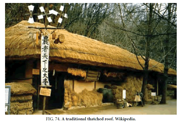 space-exploration-traditional-thatched-roof